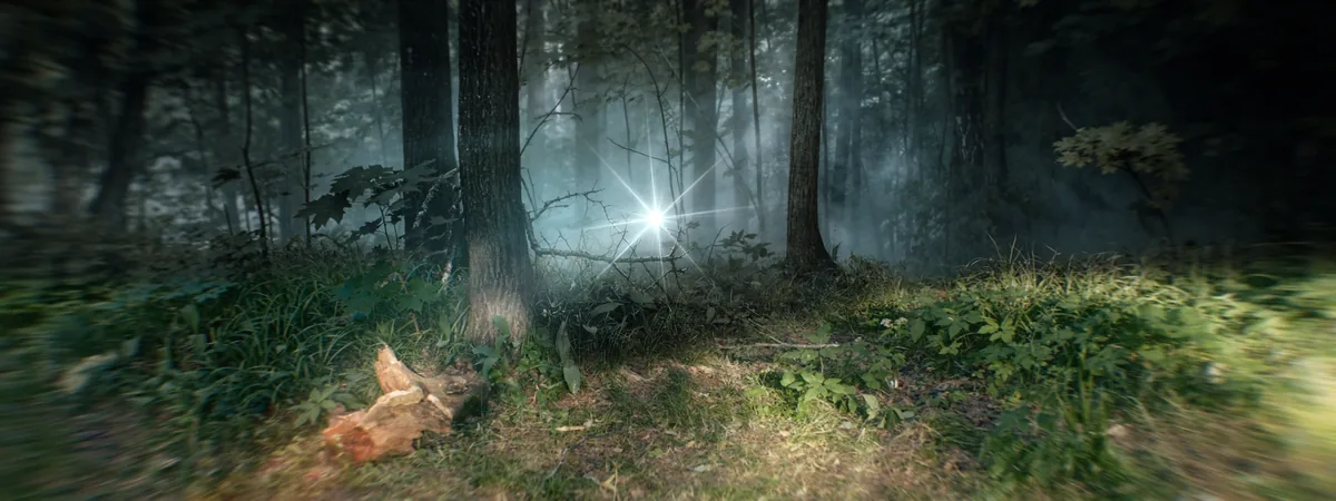 Forest with Lens Imitation