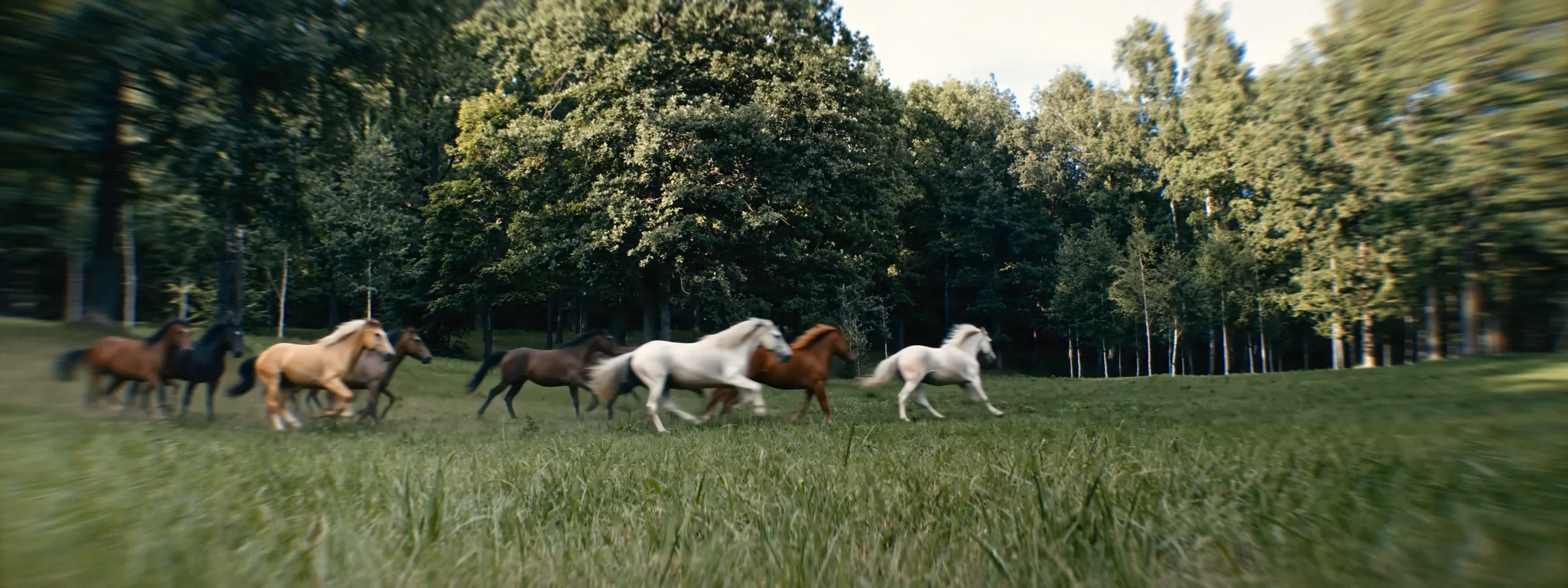 The same frame with Lens Imitation